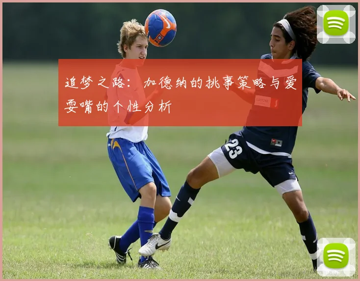 追梦之路：加德纳的挑事策略与爱耍嘴的个性分析