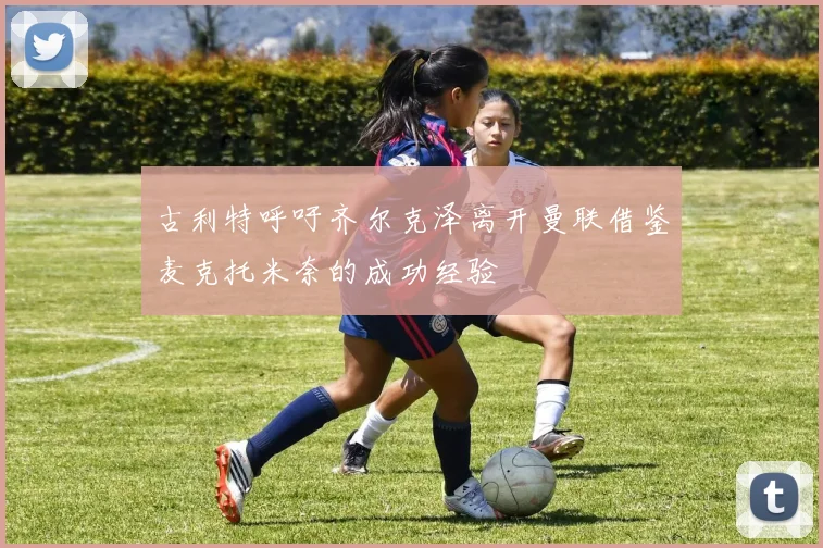 古利特呼吁齐尔克泽离开曼联借鉴麦克托米奈的成功经验