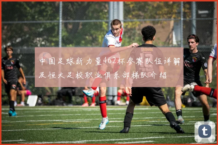 中国足球新力量462杯参赛队伍详解及恒大足校职业俱乐部梯队介绍