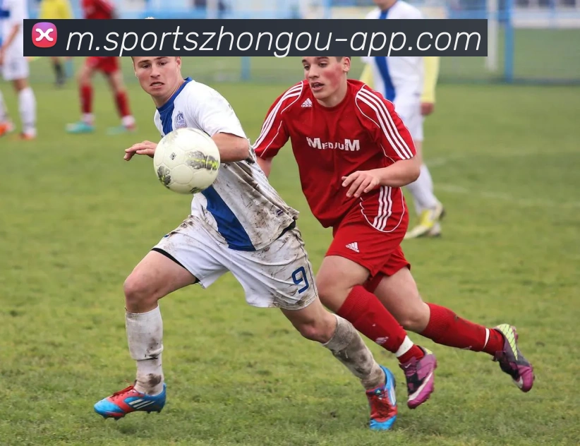 多媒体互动体验