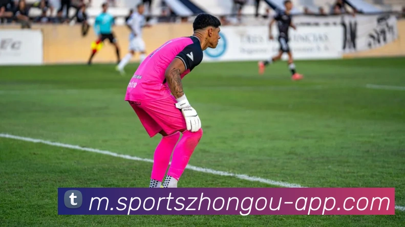 中欧体育APP 高清赛事图